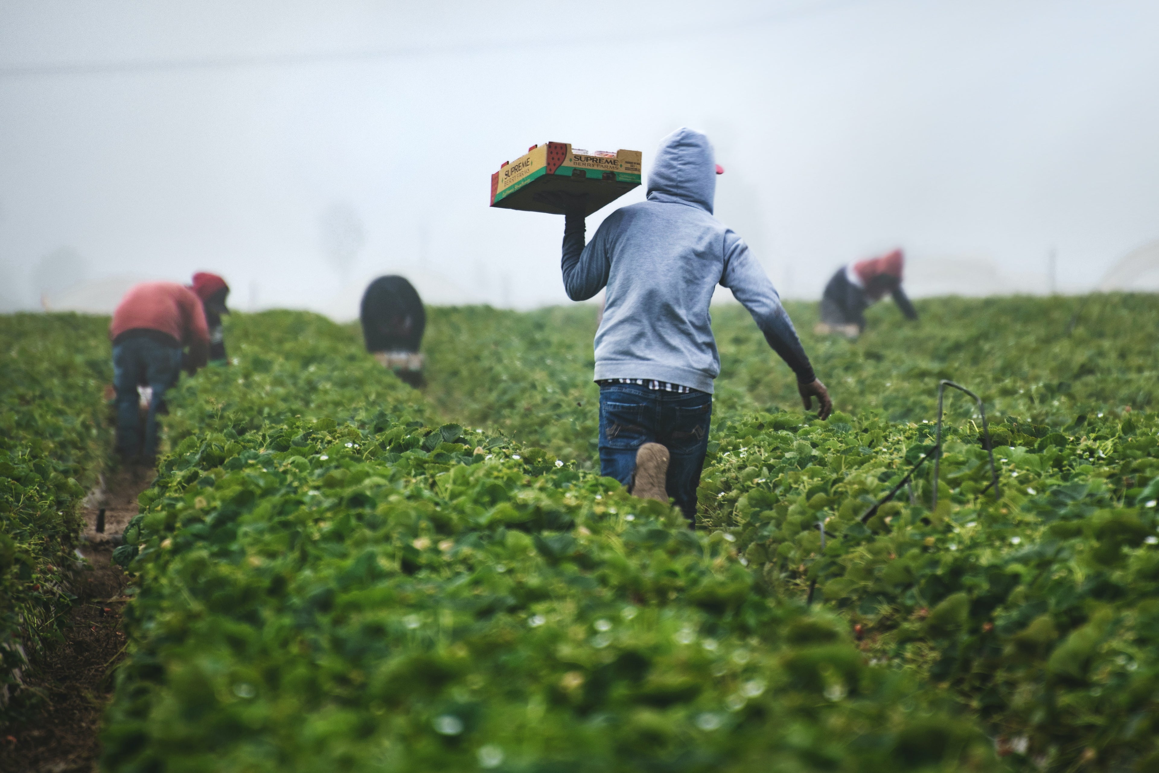 Micro-loans: A Catalyst for Economic Growth